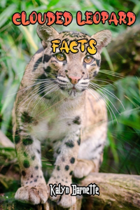 Clouded Leopard Facts