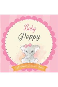 Baby Poppy A Simple Book of Firsts