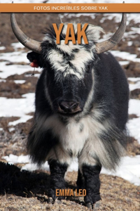 Yak