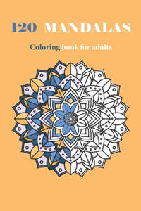 120 Mandalas Coloring Book For Adults