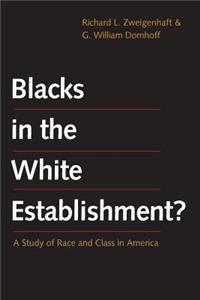 Blacks in the White Establishment?