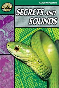 Rapid Reading: Over and Out (Stage 5, Level 5B)