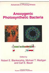 Anoxygenic Photosynthetic Bacteria