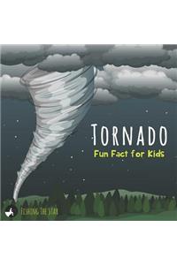 Tornado Fun Fact for Kids