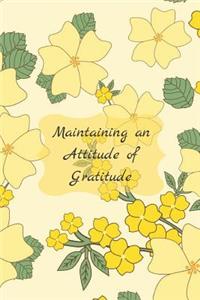 Maintaining an Attitude of Gratitude