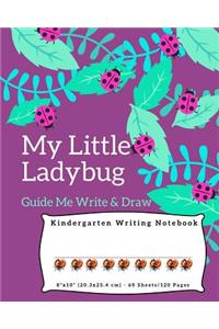 My Little Ladybug Guide Me Write And Draw