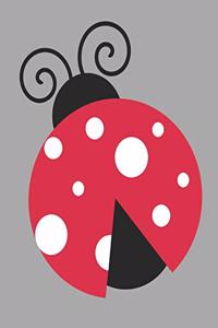 LADYBUG Composition Notebook