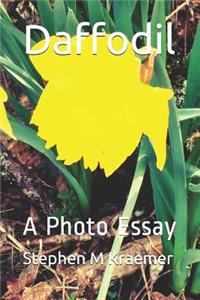 Daffodil