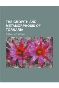 The Growth and Metamorphosis of Tornaria