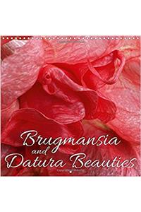 Brugmansia and Datura Beauties 2017