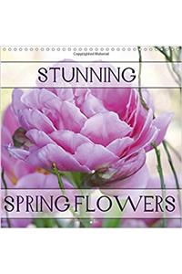 Stunning Spring Flowers 2017