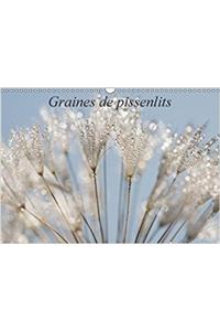 Graines De Pissenlits 2018