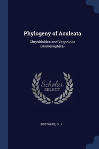 Phylogeny of Aculeata