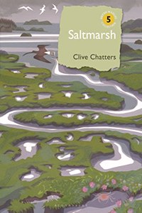 Saltmarsh