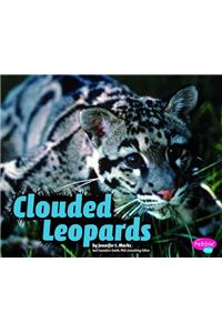 Clouded Leopards