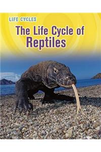 The Life Cycle of Reptiles