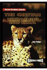 The Cheetah