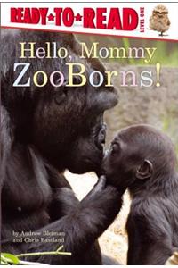 Hello, Mommy Zooborns!