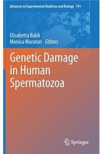 Genetic Damage in Human Spermatozoa