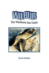 Wilbur the Washback Sea Turtle
