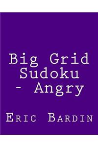 Big Grid Sudoku - Angry