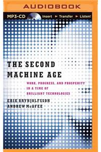 The Second Machine Age