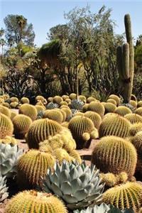 A Cactus Garden Succulent Plants Journal