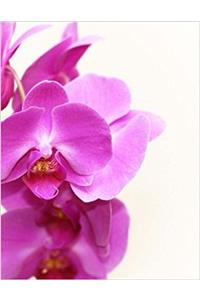 Orchids