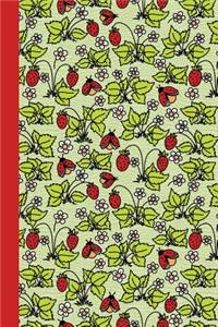 Sketch Journal: Ladybugs (Red) 6x9 - Pages Are Lined on the Bottom Third with Blank Space on Top