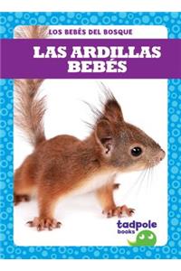 Las Ardillas Bebés (Squirrel Kits)