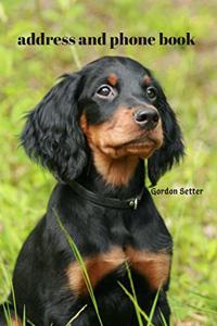 Address and Phone Book