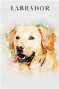 Labrador - Notebook