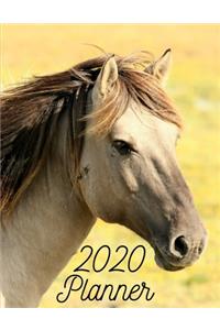 2020 Planner