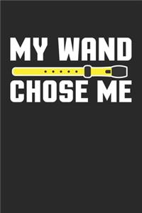 My Wand Chose Me