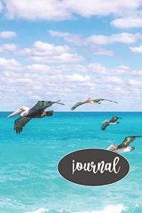 Flying Pelican Journal