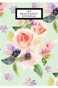 My pregnancy Journal