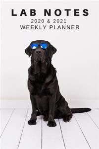 2020 & 2021 Two-Year Weekly Planner For Labrador Retriever Pet Dog Owner - Cute Lab Pun Appointment Book Gift - Two Year Agenda Notebook