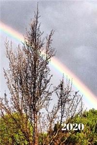 2020 (Rainbow Planner)