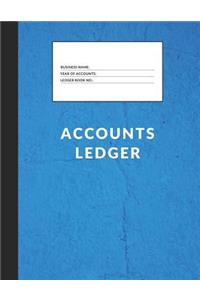 Accounts Ledger