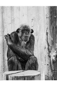 Monkey Notebook Large Size 8.5 x 11 Ruled 150 Pages Softcover