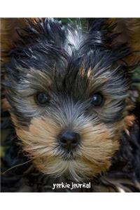 Yorkie Journal