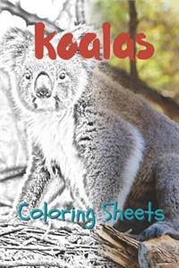 Koala Coloring Sheets