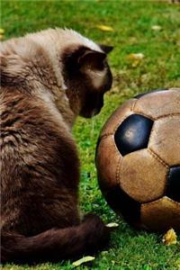 A Cat Looking at a Soccer Ball Journal