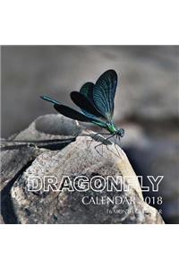 Dragonfly Calendar 2018
