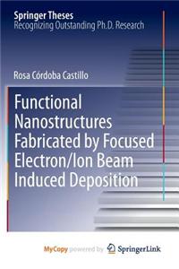 Functional Nanostructures Fabricated by Focused Electron/Ion Beam Induced Deposition