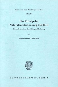 Das Prinzip Der Naturalrestitution in 249 Bgb