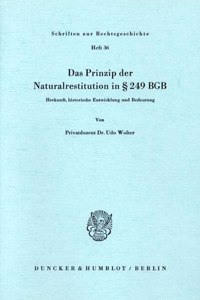 Das Prinzip Der Naturalrestitution in 249 BGB