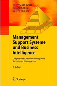 Management Support Systeme
