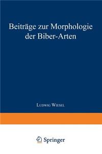 Beiträge zur Morphologie der Biber-Arten