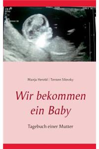 Wir bekommen ein Baby: Tagebuch einer Mutter